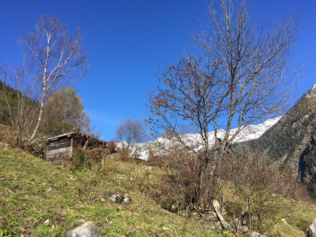 Appart Kalsberger Каунерталь Номер фото
